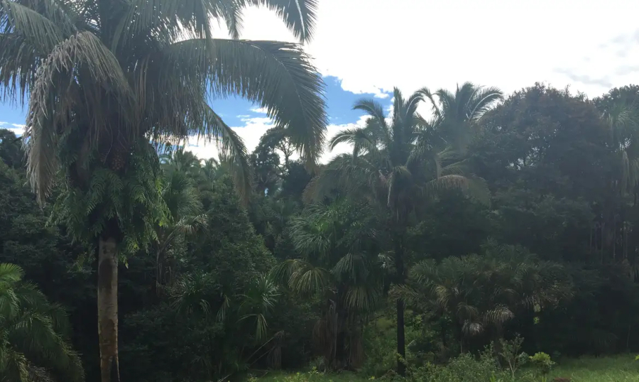 Projeto de licenciamento ambiental é grande retrocesso, diz ministério