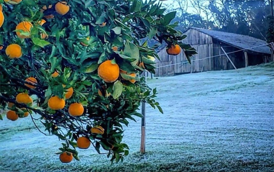 Frio se espalha e RS terá geada em diversas regiões nesta quinta-feira